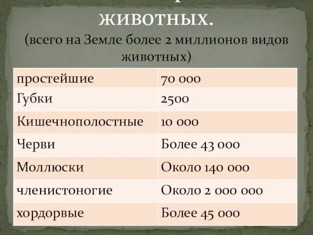 Многообразие животных. (всего на Земле более 2 миллионов видов животных)