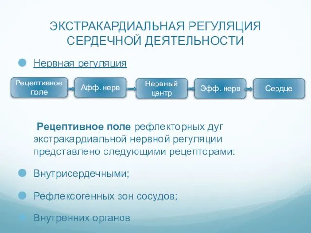 ЭКСТРАКАРДИАЛЬНАЯ РЕГУЛЯЦИЯ СЕРДЕЧНОЙ ДЕЯТЕЛЬНОСТИ Нервная регуляция Рецептивное поле рефлекторных дуг экстракардиальной