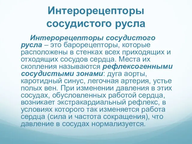 Интерорецепторы сосудистого русла Интерорецепторы сосудистого русла – это барорецепторы, которые расположены