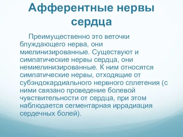 Афферентные нервы сердца Преимущественно это веточки блуждающего нерва, они миелинизированные. Существуют