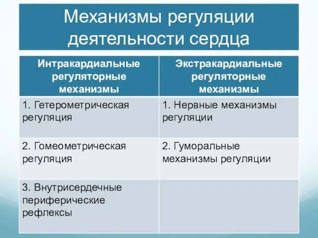 Механизмы регуляции деятельности сердца