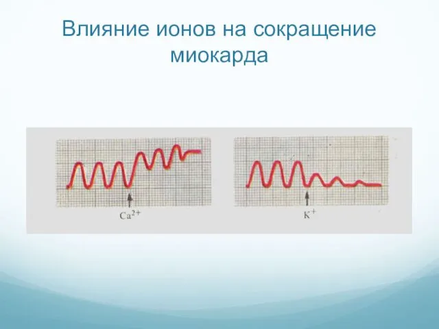 Влияние ионов на сокращение миокарда