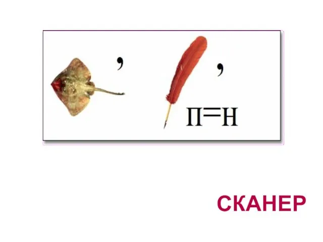 СКАНЕР