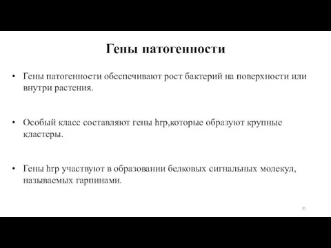 Гены патогенности Гены патогенности обеспечивают рост бактерий на поверхности или внутри