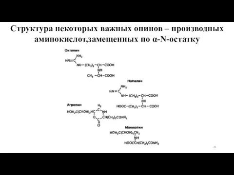 Cтруктура некоторых важных опинов – производных аминокислот,замещенных по α-N-остатку