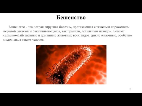 Бешенство Бешенство - это острая вирусная болезнь, протекающая с тяжелым поражением