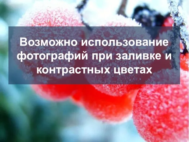 Возможно использование фотографий при заливке и контрастных цветах