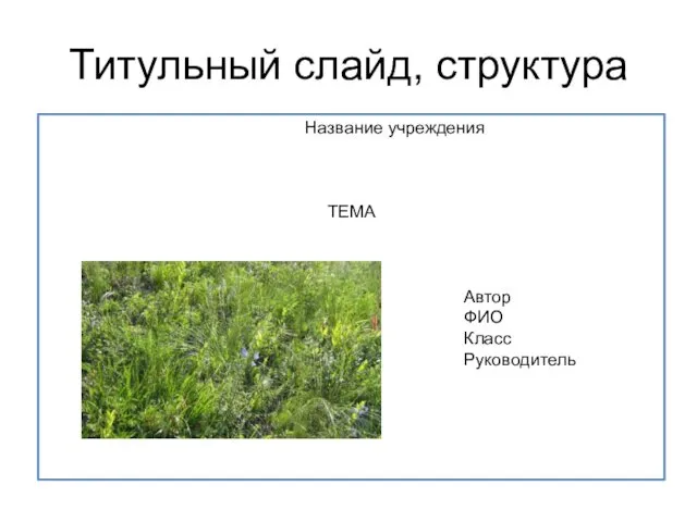 Титульный слайд, структура Название учреждения ТЕМА Автор ФИО Класс Руководитель