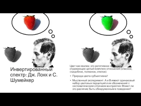 Инвертированный спектр: Дж. Локк и С. Шумейкер Цвет как квалиа: это