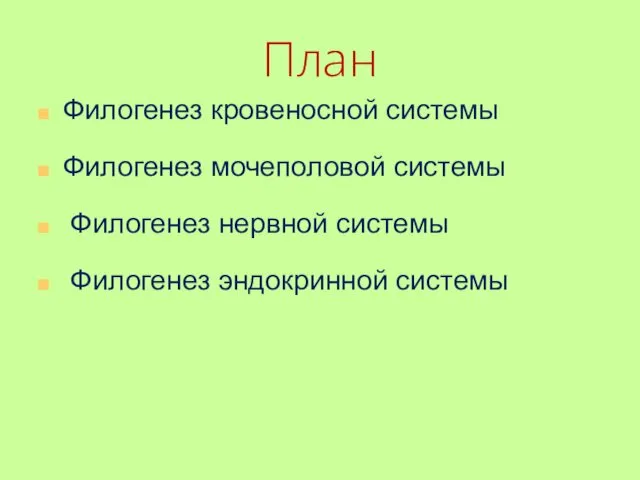 План Филогенез кровеносной системы Филогенез мочеполовой системы Филогенез нервной системы Филогенез эндокринной системы