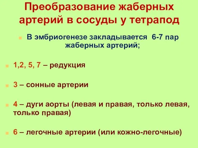 Преобразование жаберных артерий в сосуды у тетрапод В эмбриогенезе закладывается 6-7