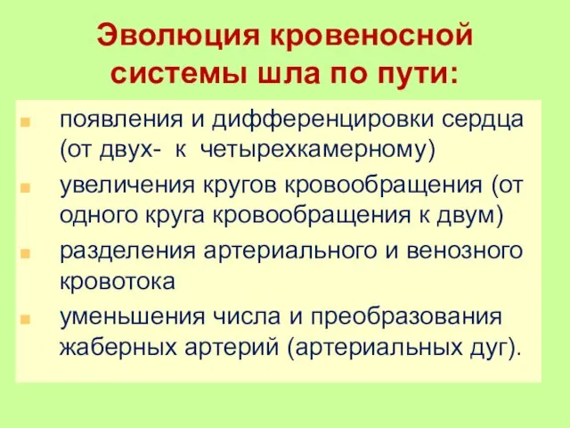 Эволюция кровеносной системы шла по пути: появления и дифференцировки сердца (от