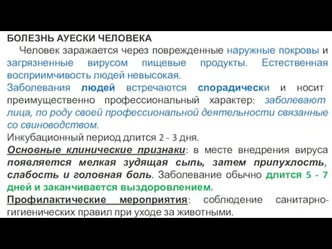 БОЛЕЗНЬ АУЕСКИ ЧЕЛОВЕКА Человек заражается через поврежденные наружные покровы и загрязненные