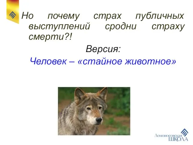 Но почему страх публичных выступлений сродни страху смерти?! Версия: Человек – «стайное животное»