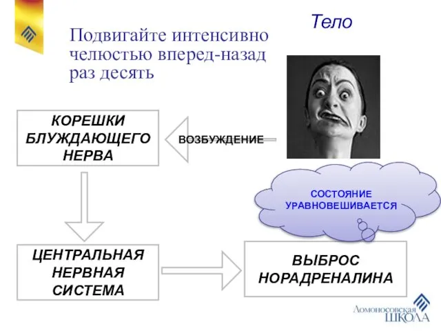 Подвигайте интенсивно челюстью вперед-назад раз десять ВОЗБУЖДЕНИЕ КОРЕШКИ БЛУЖДАЮЩЕГО НЕРВА ЦЕНТРАЛЬНАЯ