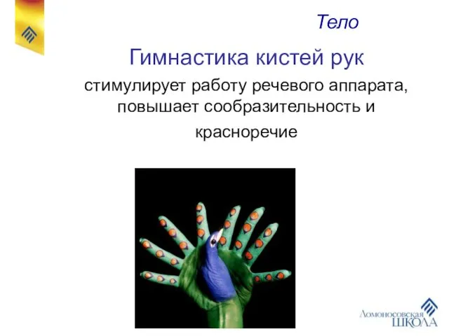 Гимнастика кистей рук стимулирует работу речевого аппарата, повышает сообразительность и красноречие Тело