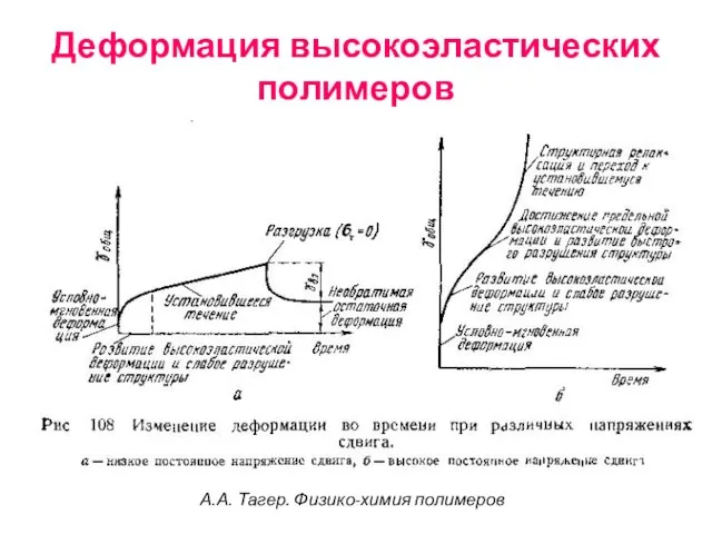 Деформация высокоэластических полимеров А.А. Тагер. Физико-химия полимеров