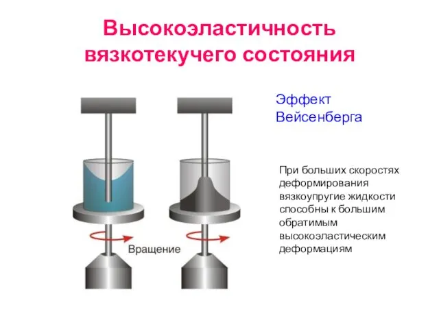 Высокоэластичность вязкотекучего состояния Эффект Вейсенберга При больших скоростях деформирования вязкоупругие жидкости