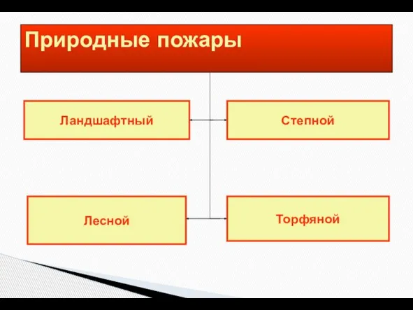 Природные пожары Ландшафтный Торфяной Степной Лесной