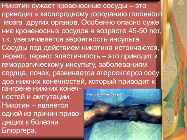 Никотин сужает кровеносные сосуды – это приводит к кислородному голоданию головного