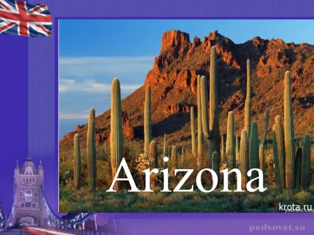 Arizona