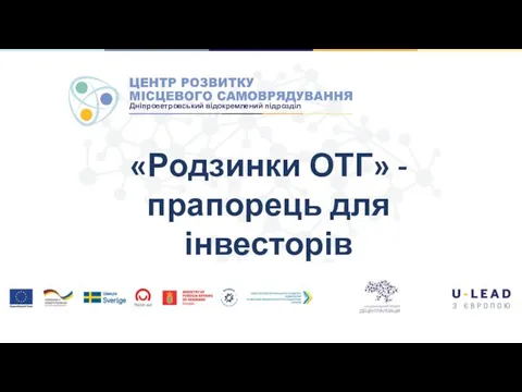 «Родзинки ОТГ» - прапорець для інвесторів