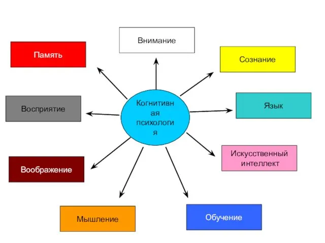 Когнитивная психология Восприятие Внимание Сознание Память Воображение Обучение Язык Мышление Искусственный интеллект