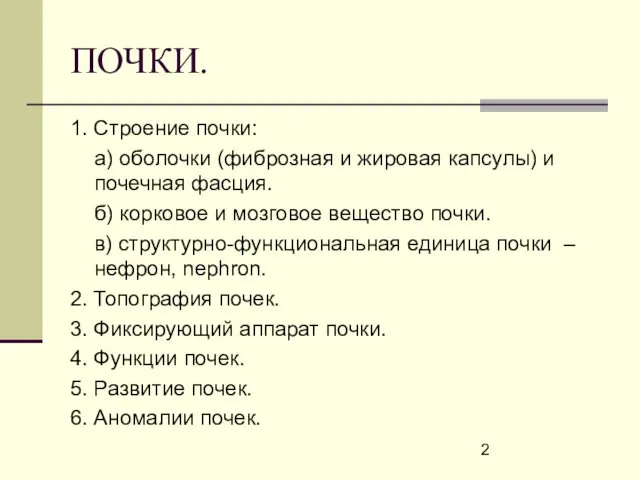 ПОЧКИ. 1. Строение почки: а) оболочки (фиброзная и жировая капсулы) и