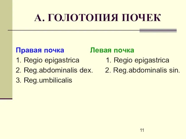 А. ГОЛОТОПИЯ ПОЧЕК Правая почка Левая почка 1. Regio epigastrica 1.