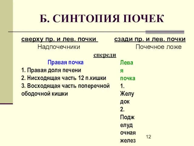 Б. СИНТОПИЯ ПОЧЕК сверху пр. и лев. почки сзади пр. и