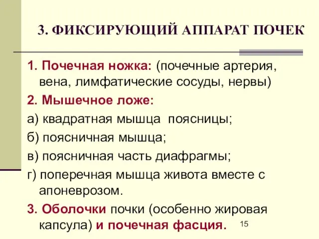 3. ФИКСИРУЮЩИЙ АППАРАТ ПОЧЕК 1. Почечная ножка: (почечные артерия, вена, лимфатические