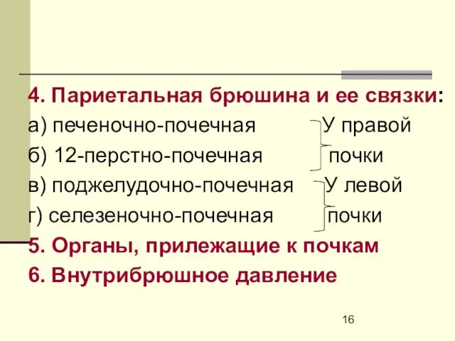 4. Париетальная брюшина и ее связки: а) печеночно-почечная У правой б)