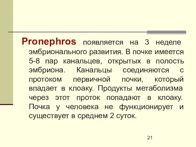 Pronephros появляется на 3 неделе эмбрионального развития. В почке имеется 5-8