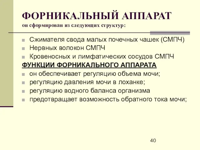 ФОРНИКАЛЬНЫЙ АППАРАТ он сформирован из следующих структур: Сжимателя свода малых почечных