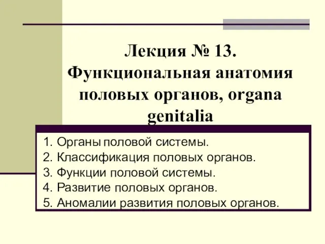 Лекция № 13. Функциональная анатомия половых органов, organa genitalia 1. Органы