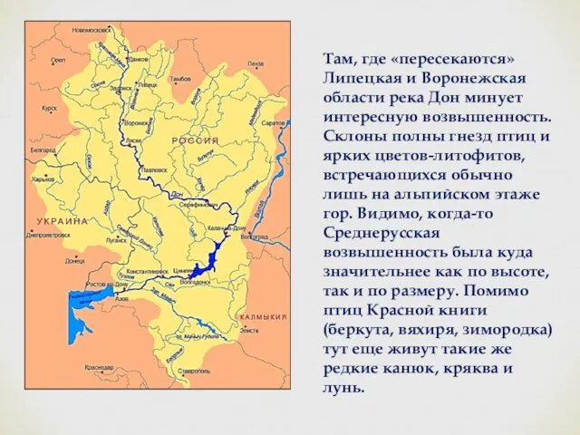 Там, где «пересекаются» Липецкая и Воронежская области река Дон минует интересную