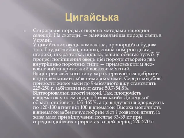 Цигайська Стародавня порода, створена методами народної селекції. На сьогодні — найчисельніша