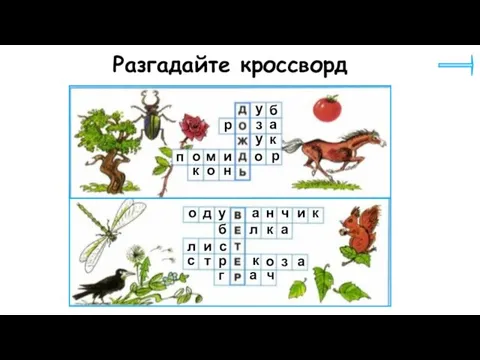 Разгадайте кроссворд у б р з а у к п о