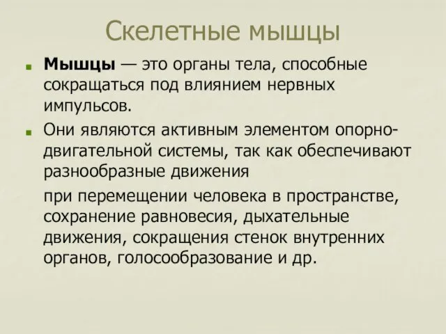 Скелетные мышцы Мышцы — это органы тела, способные сокращаться под влиянием