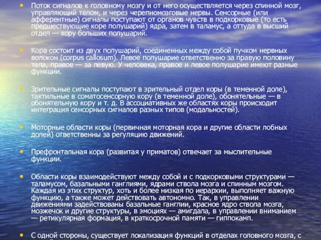 Поток сигналов к головному мозгу и от него осуществляется через спинной