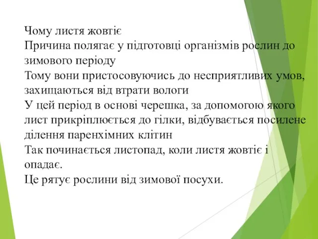 Чому листя жовтіє Причина полягає у підготовці організмів рослин до зимового