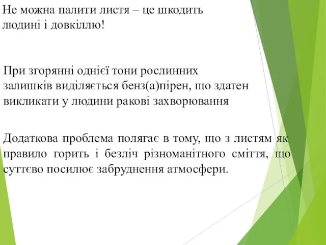 Не можна палити листя – це шкодить людині і довкіллю! При