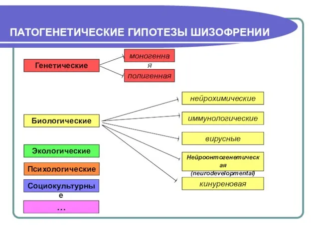 ПАТОГЕНЕТИЧЕСКИЕ ГИПОТЕЗЫ ШИЗОФРЕНИИ Генетические моногенная полигенная иммунологические нейрохимические Нейроонтогенетическая (neurodevelopmental) Биологические