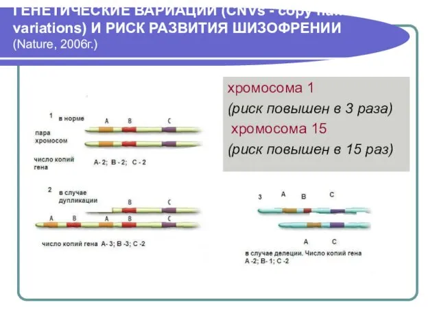 ГЕНЕТИЧЕСКИЕ ВАРИАЦИИ (CNVs - copy number variations) И РИСК РАЗВИТИЯ ШИЗОФРЕНИИ