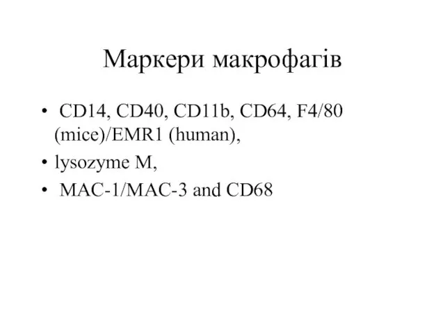 Маркери макрофагів CD14, CD40, CD11b, CD64, F4/80 (mice)/EMR1 (human), lysozyme M, MAC-1/MAC-3 and CD68