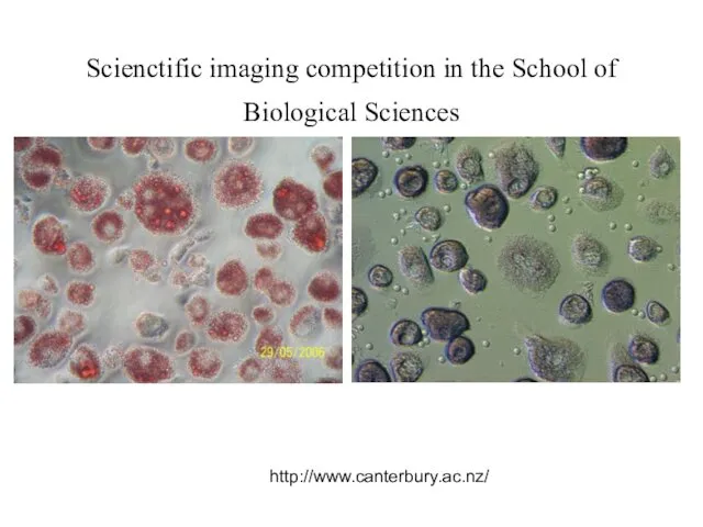 Scienctific imaging competition in the School of Biological Sciences http://www.canterbury.ac.nz/