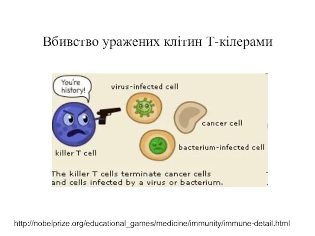 Вбивство уражених клітин Т-кілерами http://nobelprize.org/educational_games/medicine/immunity/immune-detail.html