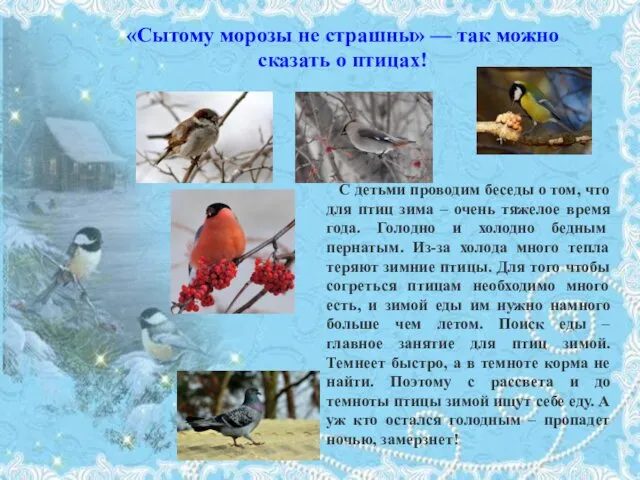 «Сытому морозы не страшны» — так можно сказать о птицах! С