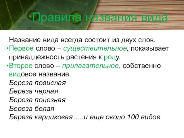 Правила названия вида Название вида всегда состоит из двух слов. Первое