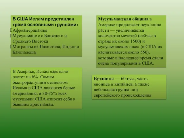 В США Ислам представлен тремя основными группами: Афроамериканцы Мусульмане с с